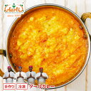 【20%OFF】ダールカレー 170g×10袋 送料無料Dal Curry ムング豆 高タンパク低カロリー インドカレー セット商品 まとめ買い 冷凍