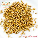 コリアンダーシード グリーン インド産 500gCoriander Seed Green India 原型 種 スパイス ハーブ 香辛料 調味料