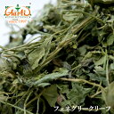 JXeB 250g@kasoori Methi tFkO[N[t Rn XpCX n[u h 