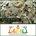 [Jv^X 500g 퉷,Eucalyptus,[J,EJ,hC,n[u,XpCX,h ,