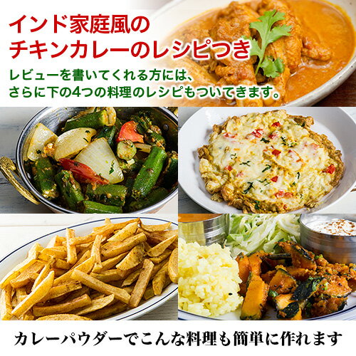 オリジナル カレーパウダー 100g ゆうメール便送料無料, カレー粉は万能調味料,カップ麺 レトルトカレーに入れても美味しい レシピ付き 業務用 スパ活 アールティー カレー粉 Curry Powder ドライカレー スパイス 香辛料 RCP,OP,