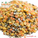 ミックスダール 10kg (1kg×10袋)Mix Dal チャナダール レンズ豆 ムング豆 ツールダール ウラド豆 乾燥豆