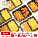 【電子レンジで5分！】8種類から選べるインドカレー・ビリヤニ弁当6品 送料無料インドカレー インド料理 セット商品 …