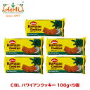 CBL nCANbL[ 100g~5Hawaian Cookies RRibc َq ܂Ƃߔ rXPbg 