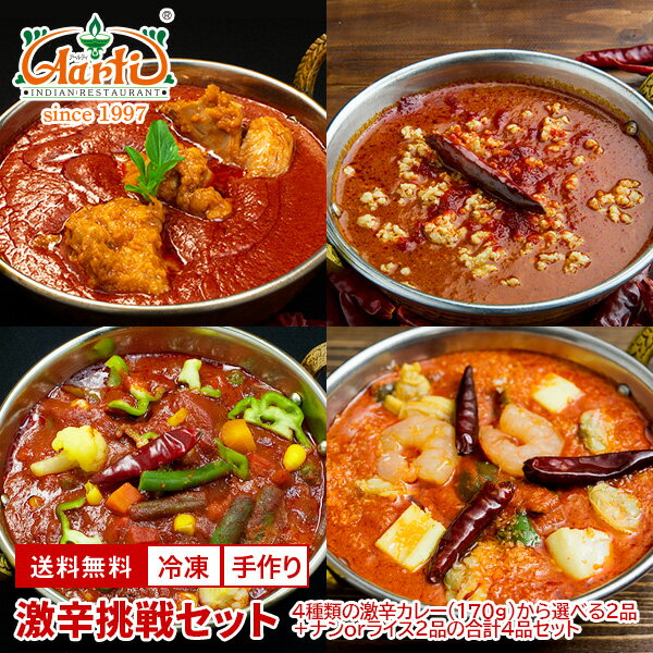 激辛挑戦セット 送料無料インド料理 インドカレー セット商品 カレーセット 食べ比べ 詰め合わせ 辛党 冷凍