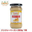 ɥ졼Źƥ㤨֥󥸥㡼ڡ 283g 1Ginger Paste 礦 ꤪ Ĵ̣ פβǤʤ610ߤˤʤޤ