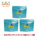 カルダモンチャイバッグ 8包入り×3個スタンド袋カルダモンチャイ Ginger Chai 紅茶 アッサムCTC 茶葉 ミルクティー スパイスティー　ゆうパケット