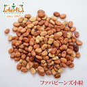 ファバビーンズ 小粒 10kg　Fava Beans Broad Bean 空豆 ソラマメ 乾燥豆