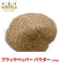 y10%OFFzubNybp[ pE_[ 100gBlack Pepper Powder  Ӟ RVE XpCX n[u h 