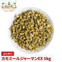 カモミールジャーマンEX 5kg 送料無料German Chamomile カモミール カモマイル カミツレ 加密列 ドイツカミツレ 花弁 ドライ ハーブ アロマ