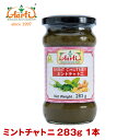 ミントチャトニ 283g 1本Mint Chutney チャツネ 調味料 タレ ソース インド料理