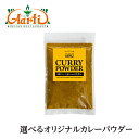 5種類から選べるオリジナル カレーパウダー 100g ゆうパケット送料無料Curry Powder スパ活 ミックススパイス 香辛料 調味料 カレー粉