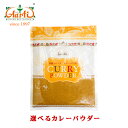 選べる オリジナルカレーパウダー レシピ付き 400g ゆうパケット送料無料Aarti Original Curry Powder ミックススパイス カレー粉 ヘルシー 時短カレー お買い得 大容量