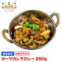 【スーパー華麗祭】キーマカレラカレー 250g 単品Keema karela curry ひき肉 ゴーヤ インドカレー 夏季限定 冷凍