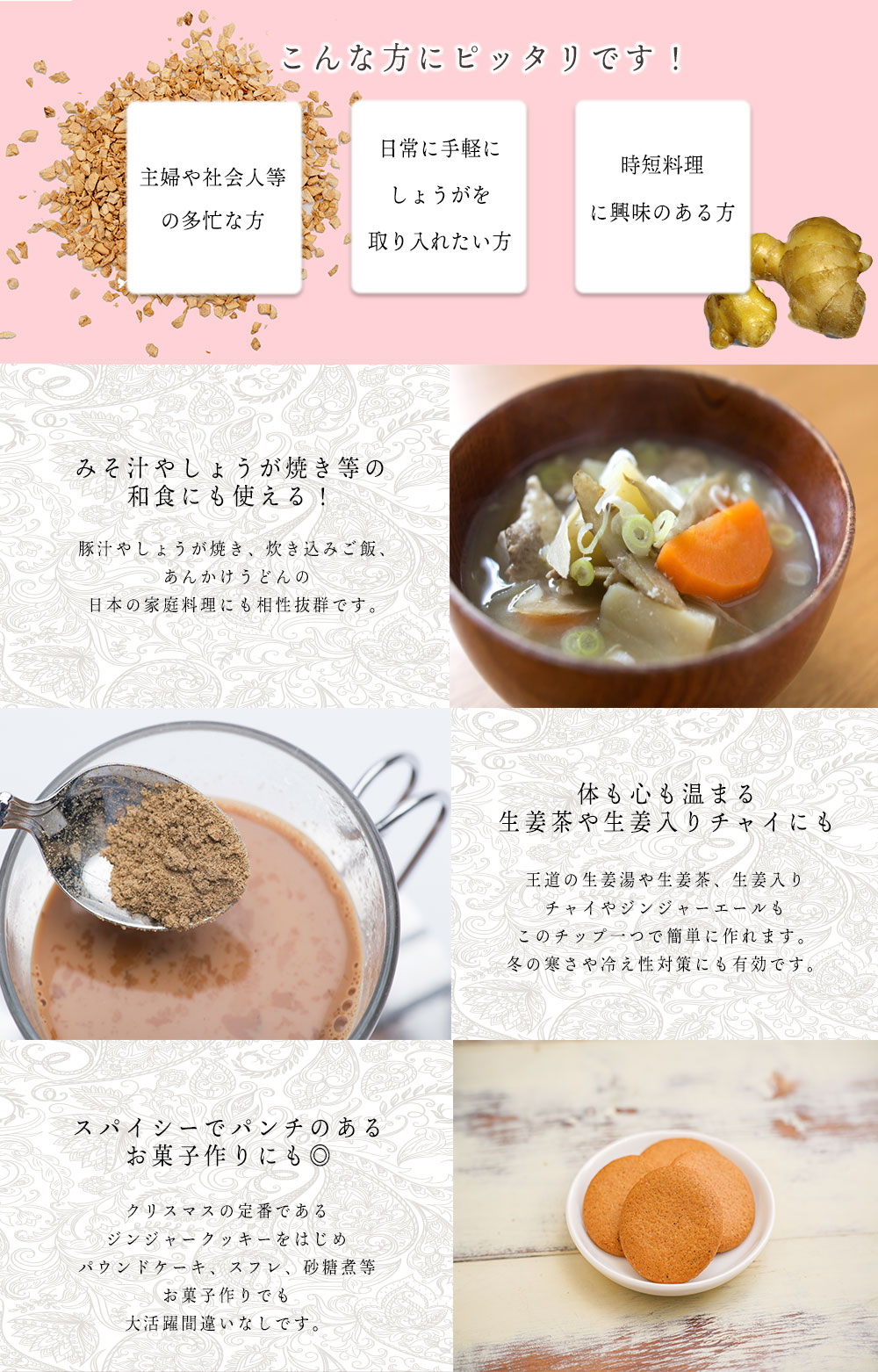 ��10%OFF�ۥ��󥸥㡼���å� 100g Ginger Tip ���礦�� ���ѥ��� �ϡ���