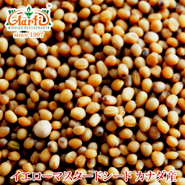 イエローマスタードシード カナダ産 1kg / 1000gYellow Mustard Seeds Canada 原型 種 辛子 芥子 スパイス ハーブ 香辛料 調味料