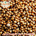 イエローマスタードシード カナダ産 1kg / 1000gYellow Mustard Seeds Canada 原型 種 辛子 芥子 スパイス ハーブ 香辛料 調味料