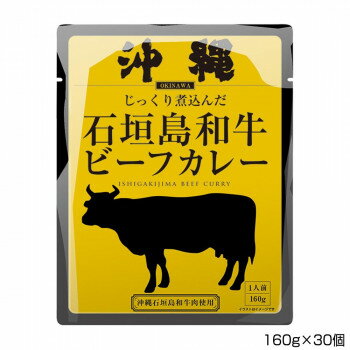 沖縄北谷自然海塩 沖縄石垣島和牛ビーフカレー 160g×30個 P7 沖縄北谷自然海塩 沖縄石垣島和牛ビーフカレー 160g×30個 P7