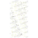TSUMEKIRA(ツメキラ) ネイルシール DAISY プロデュース11 female SG-DAI-115 (ジェル専用)(4)