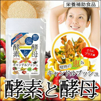 酵素と酵母(こうそとこうぼ)300mg×90粒【3個以上代引送料無料 5個で1個オマケ】