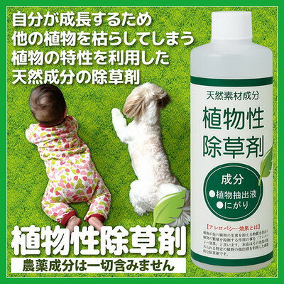 庭のガーデニングに！ペットや子どもがいても安全に使える除草剤、雑草が生えてこないのは？