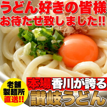 【ゆうメール送料無料】鎌田醤油特製ダシ醤油6袋付き!!讃岐うどん6食分600g（300g×2袋）【P2B】