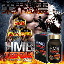 HMB トップギアプロ(300mg×120粒)