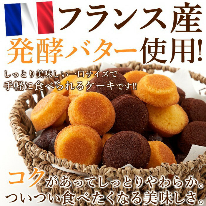 フランス産発酵バター使用!!しっとりやわらか♪プチケーキ2種（プレーン味、チョコ味）50個【クリスマスプレゼント】