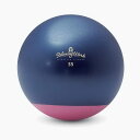 ジムボールステイプラス 55cm