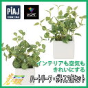 【メーカー直送】光の楽園 光触媒人工植物 「ハートリーフ・ポトス2個セット」864A35-62(4)