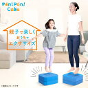 トランポリンクッション「Pon!Pon!CUBE」【P10B】