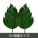 プリザーブド榊 SVサイズ FS-003SV【P2B】