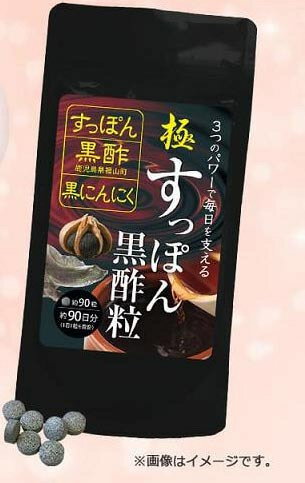 【ネコポス送料無料】極・すっぽん黒酢粒 約3ヶ月分(約90粒入り)【P2B】