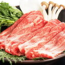 なかなか味わえない絶品お肉♪佐賀牛A4ランク以上カルビスライス500g【冷凍便発送の為、代引決済・同梱・コンビニ受取不可】【P2B】 1