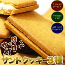 【サンドクッキー3種どっさり48個】ギフト 訳あり 訳アリ ネット限定 生地 誕生日 カタログギフト 人気 詰め合わせ 詰合せ ギフト 子ども 子供 退職 お菓子 取り寄せ 取寄 雑誌 テレビ 紹介 掲載 ハイブリッドスイーツ