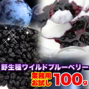 【【お試し】野生種ワイルドブルーベリー100g】ギフト 訳あり 訳アリ ネット限定 生地 誕生日 カタログギフト 人気 詰め合わせ 詰合せ ギフト 子ども 子供 退職 お菓子 取り寄せ 取寄 雑誌 テレビ 紹介 掲載 ハイブリッドスイーツ※割引クーポン使用不可