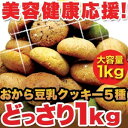 衝撃価格!!ダイエット応援SALE!!満腹＆満足実感!!人気のヘルシーおやつ！おから豆乳クッキーがチョコ、オレンジ、チーズ、シナモン、抹茶の合計5種類の味でどっさり1kgIN!!