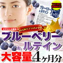 メガ盛り★ブルーベリー&ルテインサプリ約4ヵ月分≪常温≫ 6個以上代引送料無料!9個で1個オマケ♪ギフト 訳あり 訳アリ ネット限定 生地 誕生日 カタログギフ...