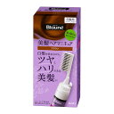 花王 ブローネ 美髪ヘアマニキュア ブラウン クシつき 本体 白髪 白髪用 白髪染め 泡 泡タイプ 72g