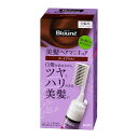 花王 ブローネ 美髪ヘアマニキュア ダークブラウン クシつき 本体 白髪 白髪用 白髪染め 泡 泡タイプ 72g