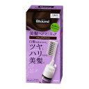花王 ブローネ 美髪ヘアマニキュア ナチュラルブラック クシつき 本体 白髪 白髪用 白髪染め 泡 泡タイプ 72g