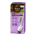 花王 ブローネ 美髪ヘアマニキュア アッシュブラウン クシつき 本体 白髪 白髪用 白髪染め 泡 泡タイプ 72g