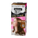 花王 ブローネ 泡カラー 3CB キャメルブラウン 泡 白髪 白髪染め 白髪用108ml