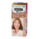 花王 ブローネ 泡カラー 0N シルキーベージュ 泡 白髪 白髪染め 白髪用108ml