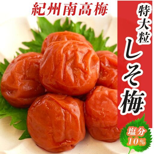 梅干し しそ つぶれ梅 (1パック/380g) 塩分10% 紀州南高梅 天然塩 使用 しそ梅干し つぶれ梅干し 紫蘇梅干し 大粒梅干し 紀州南高梅つぶれ梅 美味しい梅干し 昔ながら すっぱい 梅干 紀州南高梅梅干し しそ漬け梅 大粒 昔ながらの梅干し 潰れ梅 梅干し しそ つぶれ梅 (1パック/380g) 塩分10% 紀州南高梅 天然塩 使用 しそ梅干し つぶれ梅干し 紫蘇梅干し 大粒梅干し 紀州南高梅つぶれ梅 美味しい梅干し 昔ながら すっぱい 梅干 紀州南高梅梅干し しそ漬け梅 大粒 昔ながらの梅干し 潰れ梅