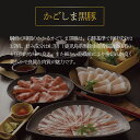 aassist:10000012のサンプル画像3