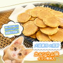 賞味期限切 < 訳あり >【飼い主さんも一緒に食べれる】 煎餅 犬 猫 兼用 おやつ お魚風味 国産 素材使用 イワシ カルシウム 賞味期限2025年1月6日