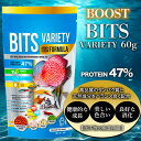 熱帯魚 餌 沈下性 60g プロテイン47% 熱帯魚 小型 主食 小さな顆粒タイプ エサ えさ フレーク スピリルナ 高タンパク 天然成分 プレミアム 【BITS VARIETY】