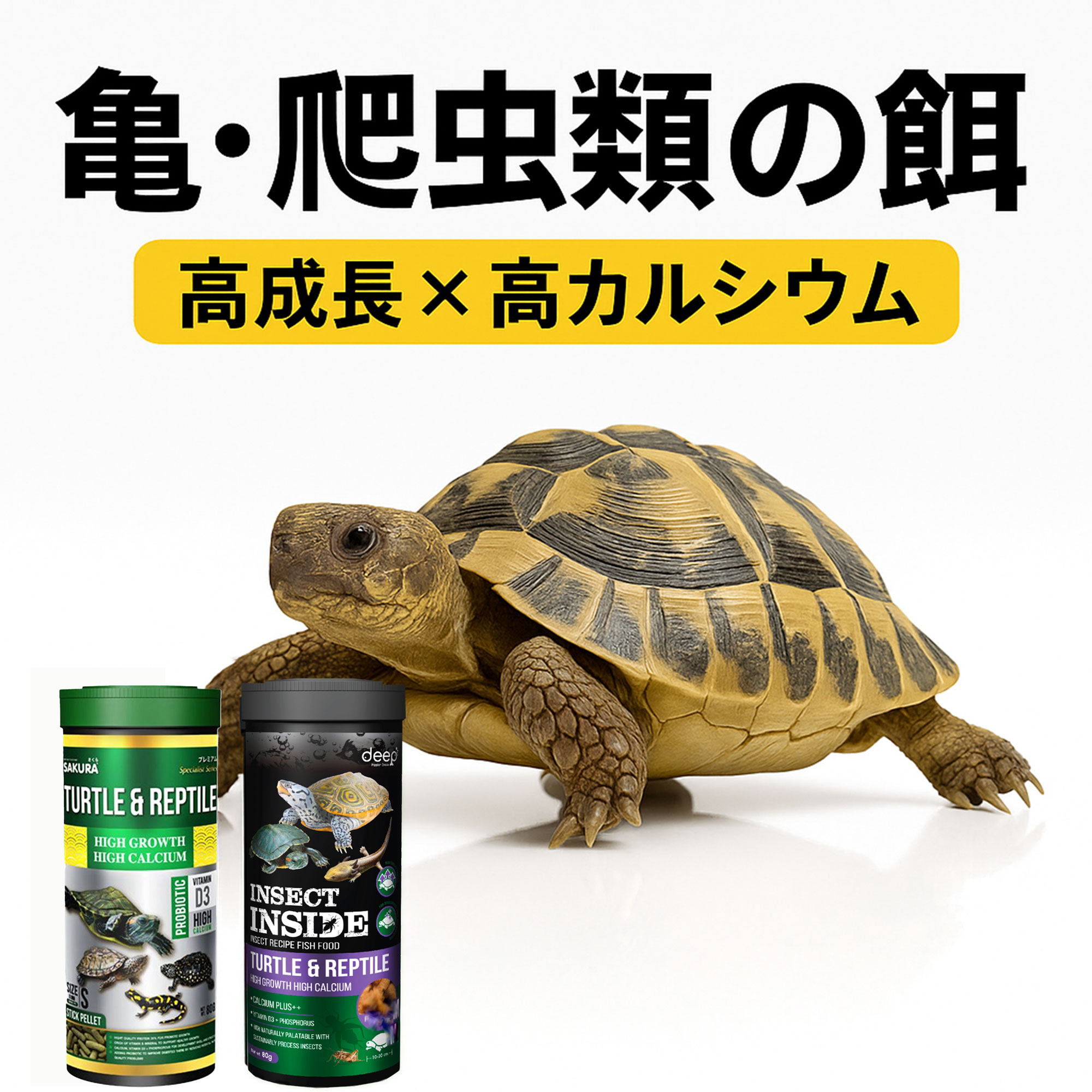 亀 爬虫類 両生類 用 TURTLE & REPTILE プレミアム 餌 80g｜高タンパク・腸内フローラサポート｜水を汚しにくい小粒タイプ 亀の餌 えさ 小粒 80g deep 餌 エサ 小粒 ニオイ汚れをブロック カメ 亀 フード 天然成分 低脂質 免疫サポート 総合栄養食 爬虫類 浮上性 【INSIDE】
