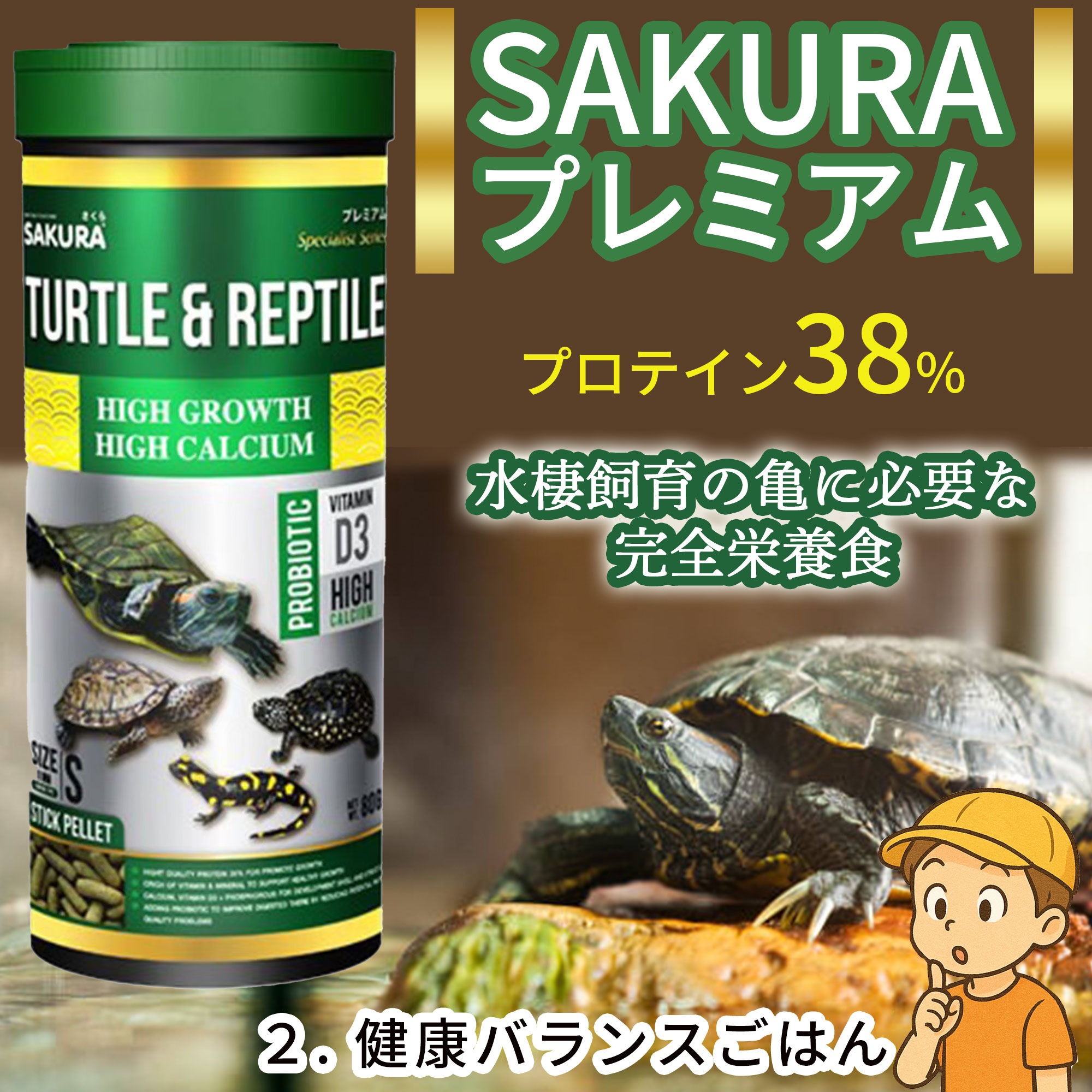楽天市場】亀 ウォーターサプリの通販